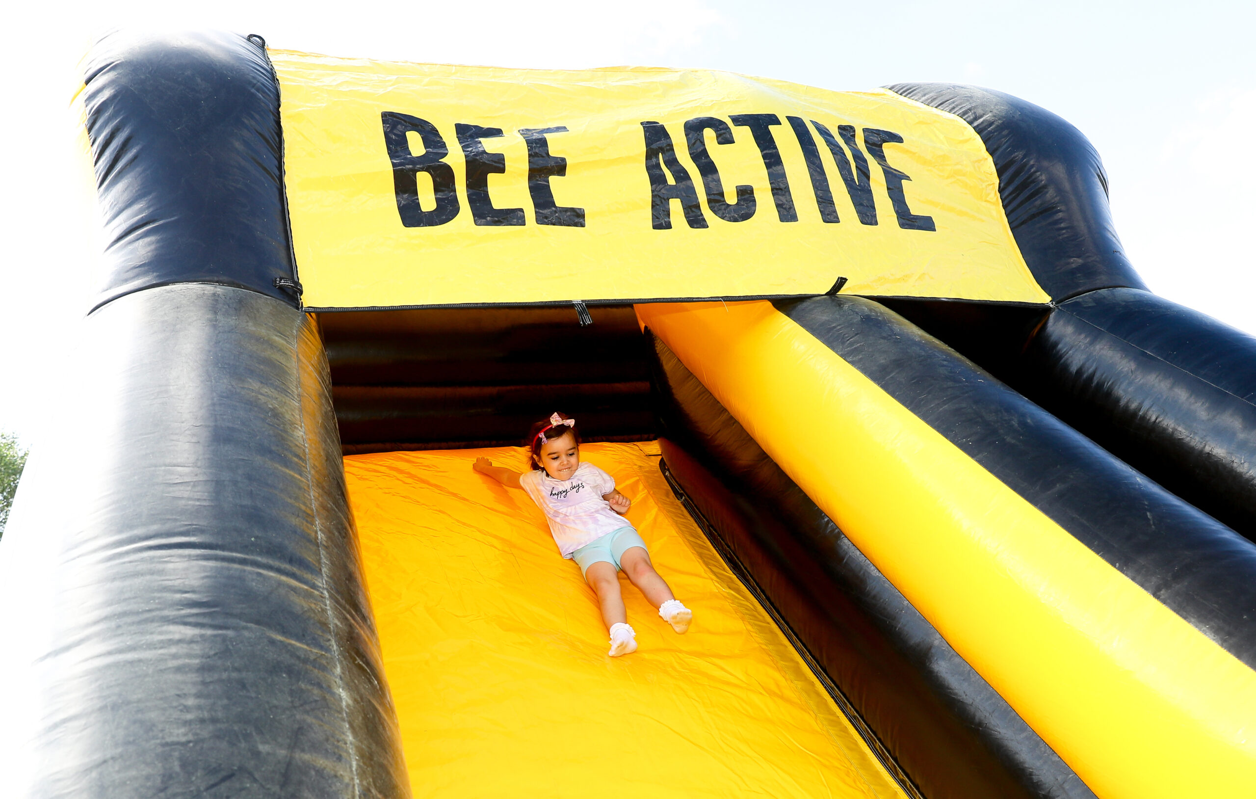 BEE ACTIVE BEE FEST
